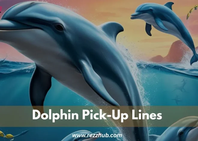 175+ Funny Dolphin Pick-Up Lines