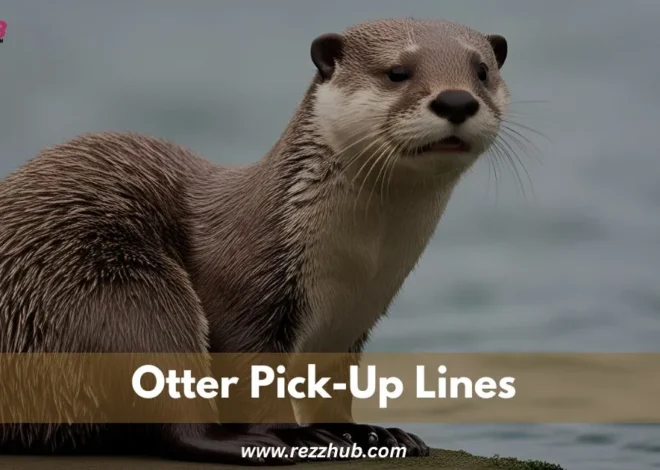 175+Otter Pick-Up Lines So Cute They’ll Melt Hearts