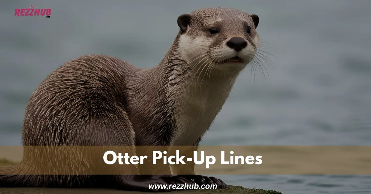 175+Otter Pick-Up Lines So Cute They’ll Melt Hearts
