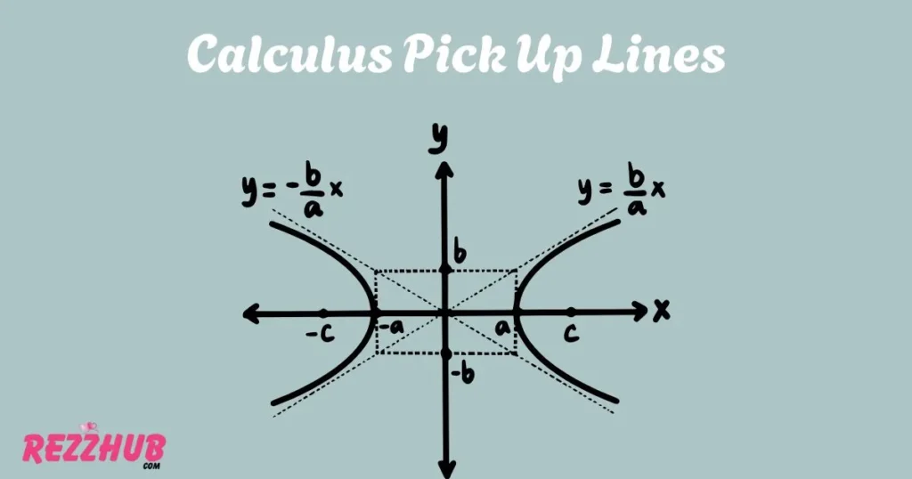 Calculus Pick Up Lines
