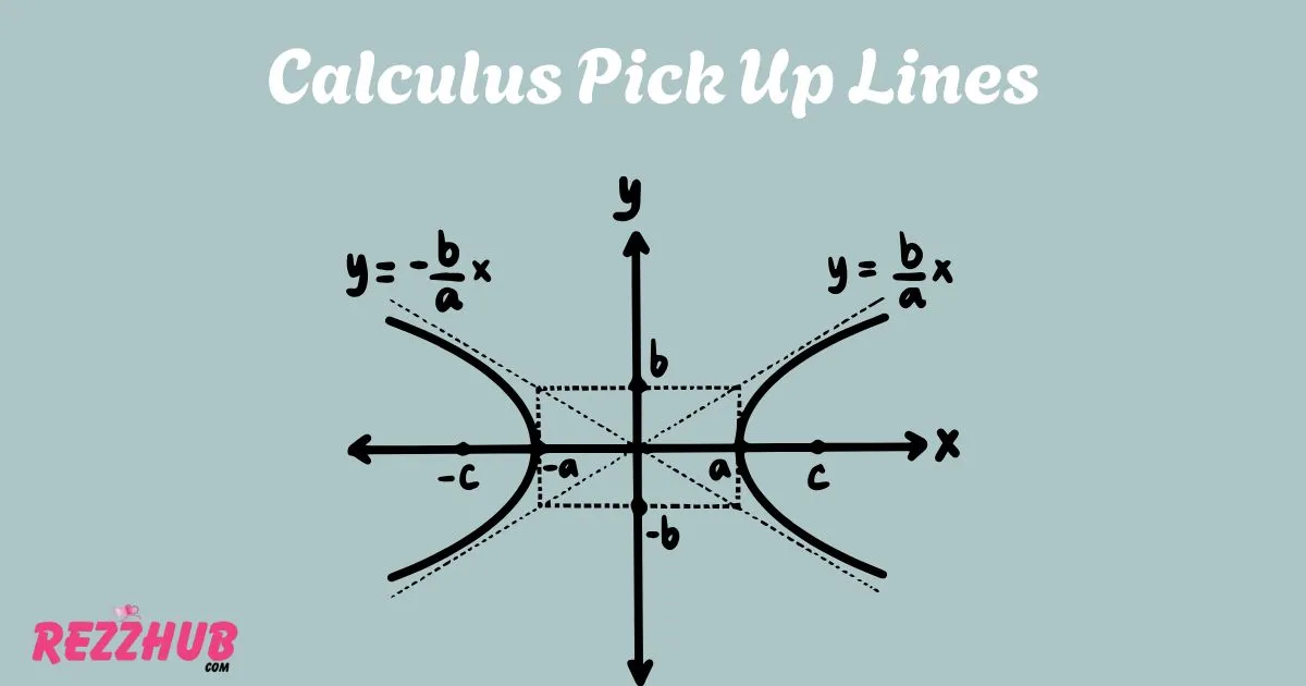 Calculus Pick Up Lines