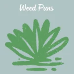 Weed Puns
