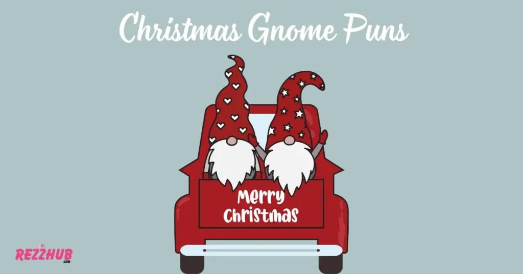 Christmas Gnome Puns
