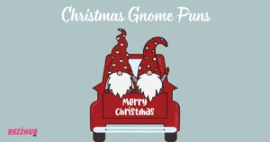 Christmas Gnome Puns