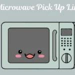 Microwave Pick Up Lines