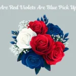 Roses Are Red Violets Are Blue Pick Up Lines