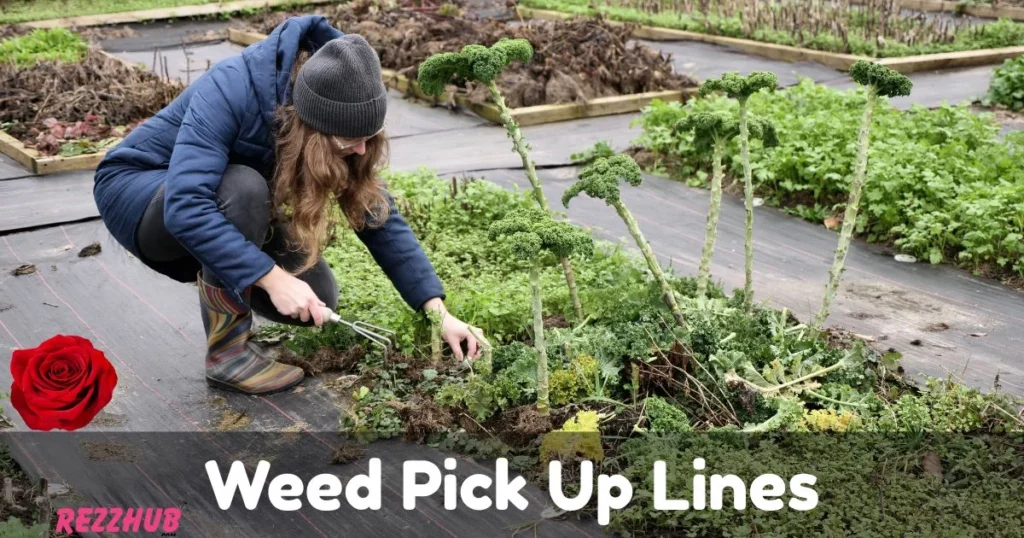 Weed Pick Up Lines