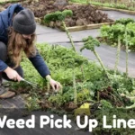 Weed Pick Up Lines